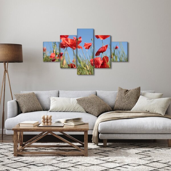 Obraz - Vlčí máky (125x70 cm)