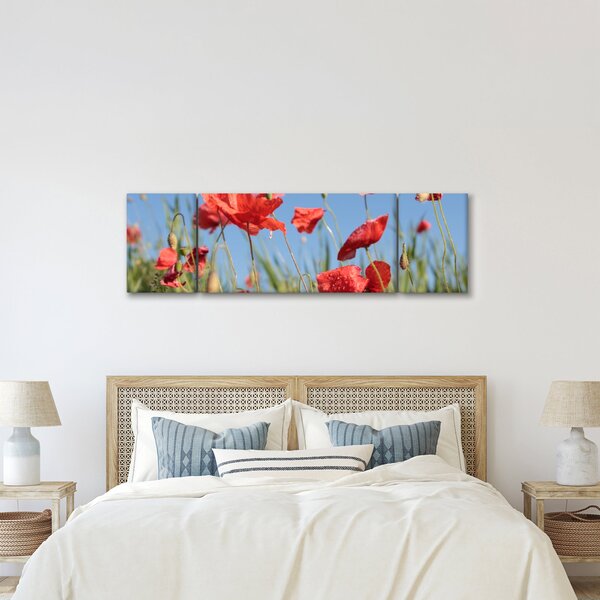 Obraz - Vlčí máky (170x50 cm)