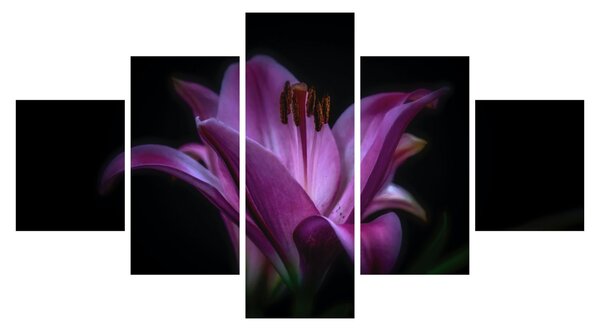 Obraz lilie (125x70 cm)