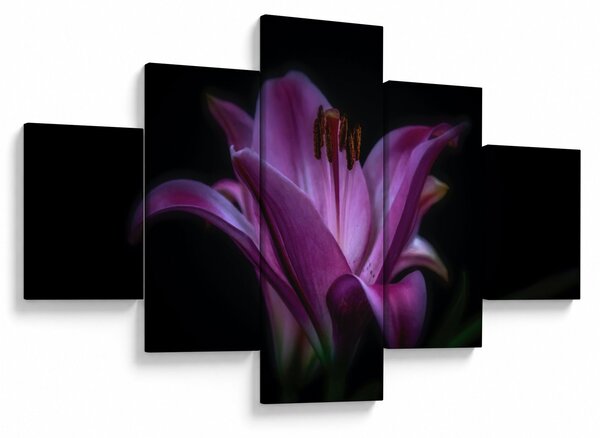 Obraz lilie (125x70 cm)