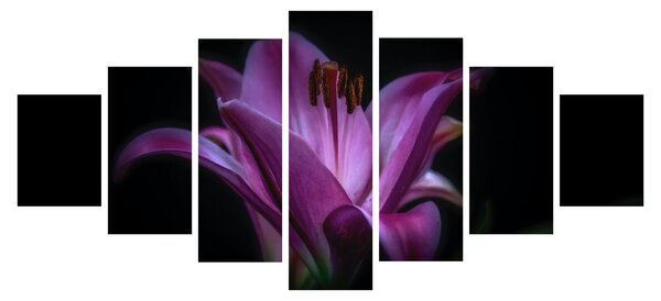 Obraz lilie (210x100 cm)