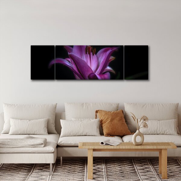 Obraz lilie (170x50 cm)