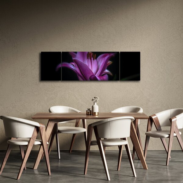 Obraz lilie (170x50 cm)