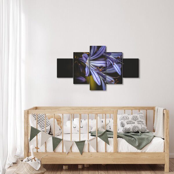 Obraz - Lila (125x70 cm)