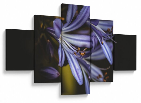 Obraz - Lila (125x70 cm)