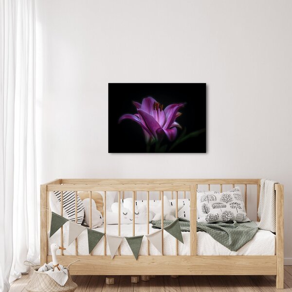 Obraz lilie (70x50 cm)