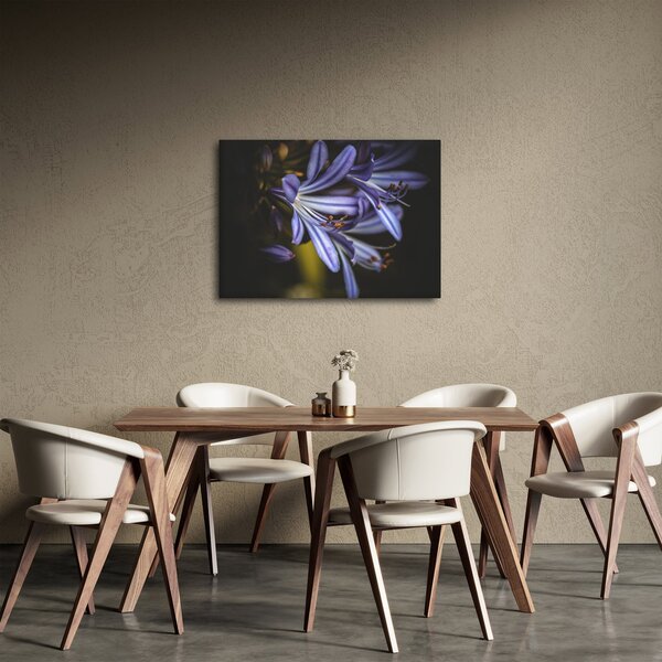 Obraz - Lila (70x50 cm)
