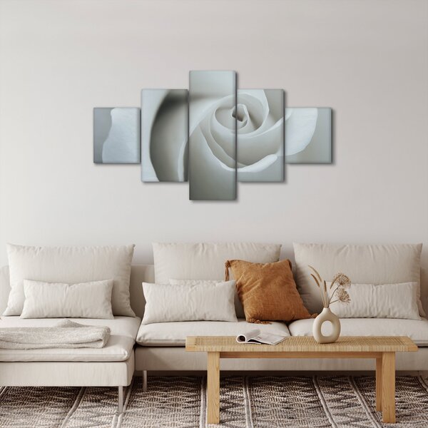 Obraz - Bílá růže (125x70 cm)