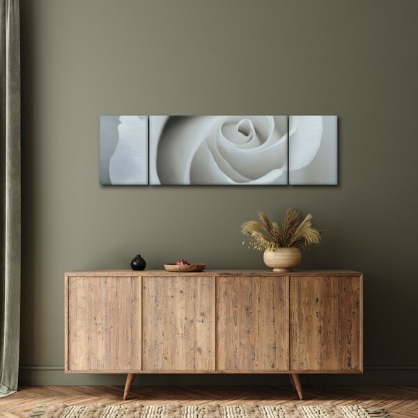 Obraz - Bílá růže (170x50 cm)