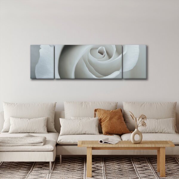 Obraz - Bílá růže (170x50 cm)