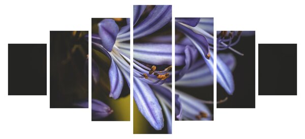 Obraz - Lila (210x100 cm)