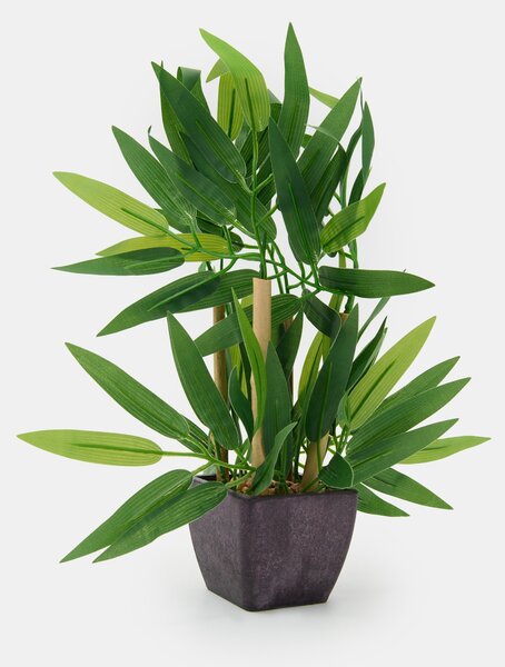 Sinsay - Decorative plant in a pot - zelená
