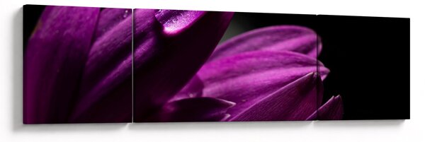 Obraz - Kapka vody (170x50 cm)