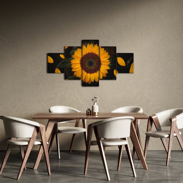 Obraz - Slunečnice a lístky květů (125x70 cm)