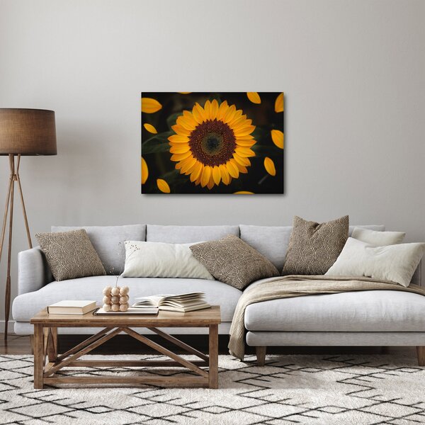 Obraz - Slunečnice a lístky květů (70x50 cm)