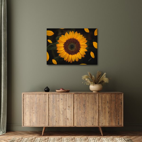 Obraz - Slunečnice a lístky květů (70x50 cm)