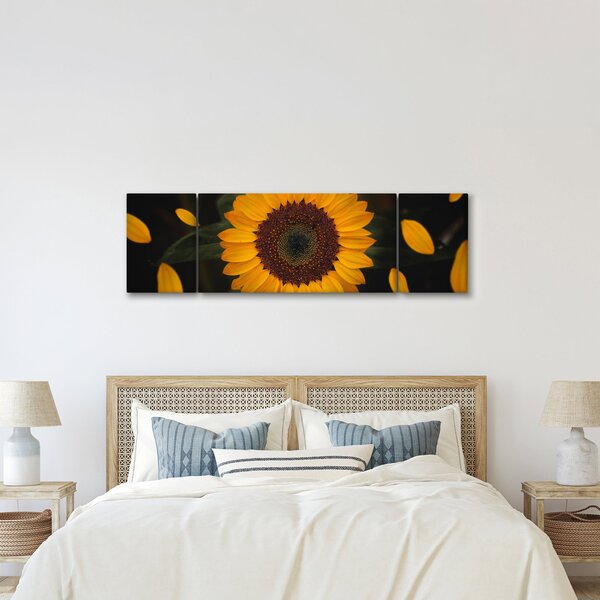 Obraz - Slunečnice a lístky květů (170x50 cm)