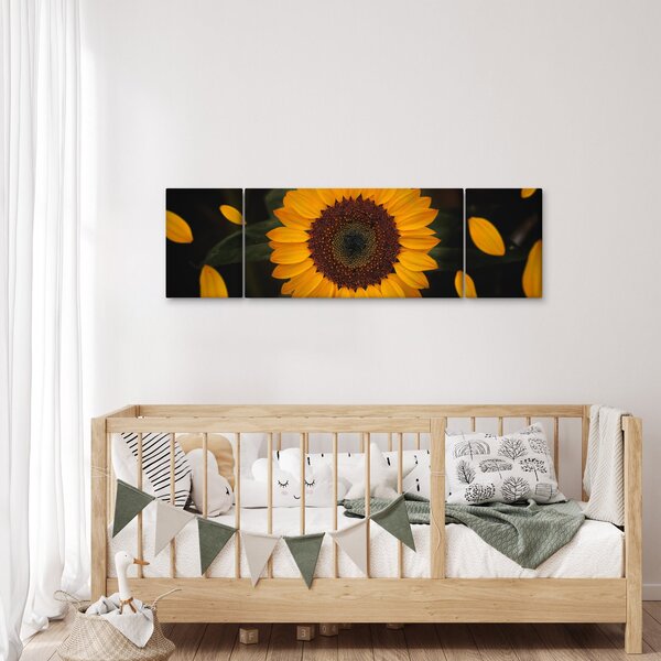 Obraz - Slunečnice a lístky květů (170x50 cm)
