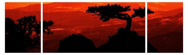 Obraz - Západ slunce (170x50 cm)
