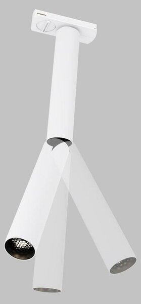 MAYTONI Svítidlo do kolejnice Focus Dual 1-fázový kolejnicový systém UNITY 3000K 6W 36d TR142-1-6W3K-W
