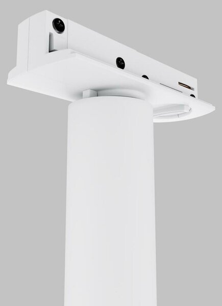 MAYTONI Svítidlo do kolejnice Focus Dual 1-fázový kolejnicový systém UNITY 3000K 6W 36d TR142-1-6W3K-W