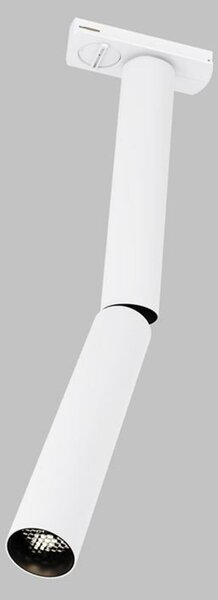 MAYTONI Svítidlo do kolejnice Focus Dual 1-fázový kolejnicový systém UNITY 3000K 6W 36d TR142-1-6W3K-W