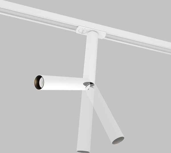 MAYTONI Svítidlo do kolejnice Focus Dual 1-fázový kolejnicový systém UNITY 3000K 6W 36d TR142-1-6W3K-W