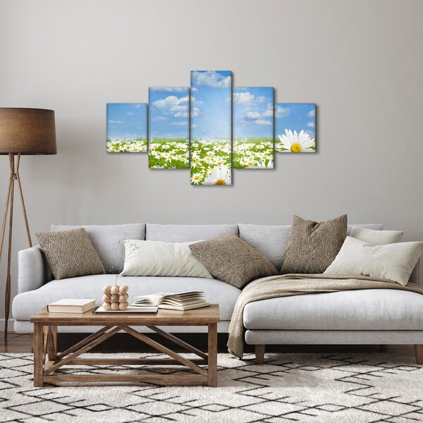 Obraz rozkvetlé louky s kopretinami (125x70 cm)