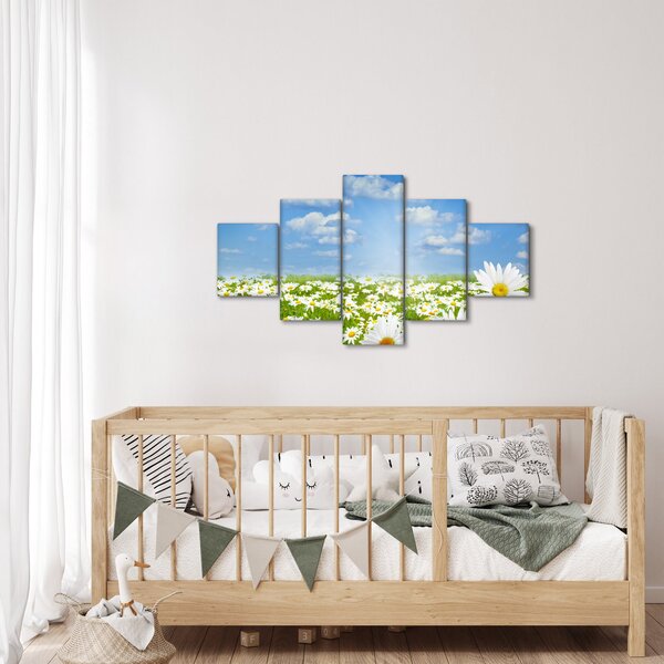 Obraz rozkvetlé louky s kopretinami (125x70 cm)