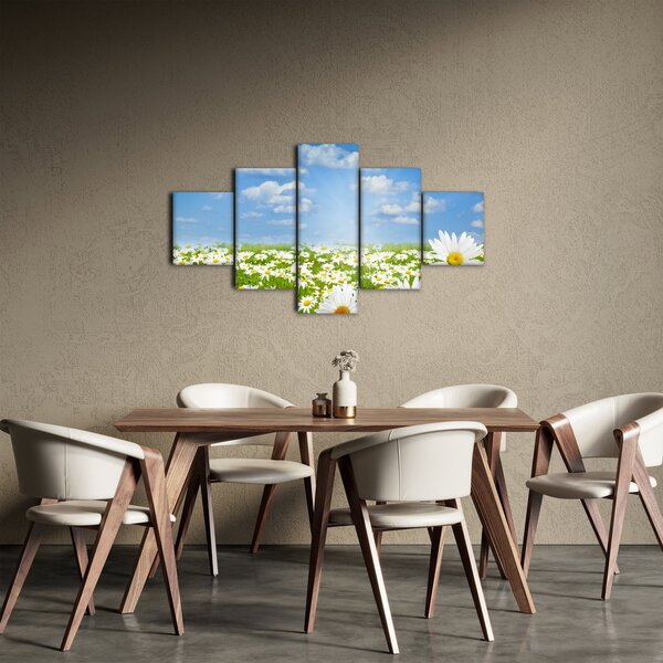 Obraz rozkvetlé louky s kopretinami (125x70 cm)