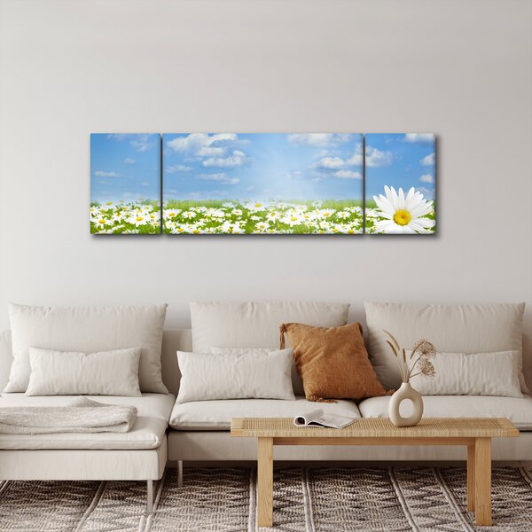 Obraz rozkvetlé louky s kopretinami (170x50 cm)