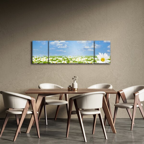 Obraz rozkvetlé louky s kopretinami (170x50 cm)