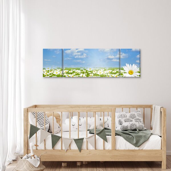 Obraz rozkvetlé louky s kopretinami (170x50 cm)