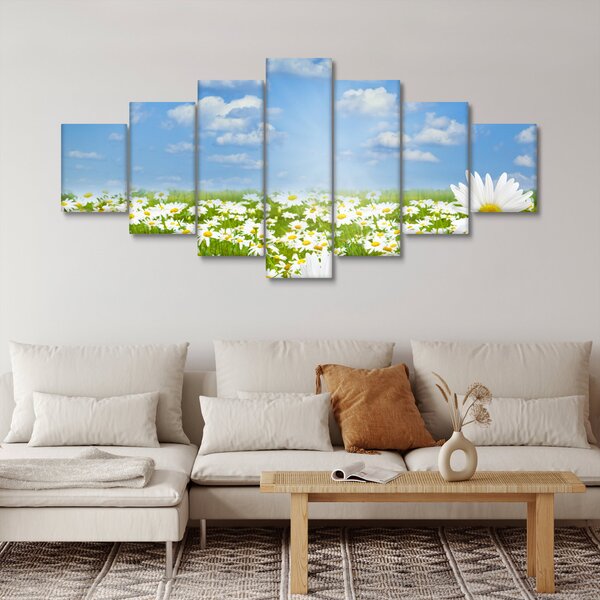 Obraz rozkvetlé louky s kopretinami (210x100 cm)