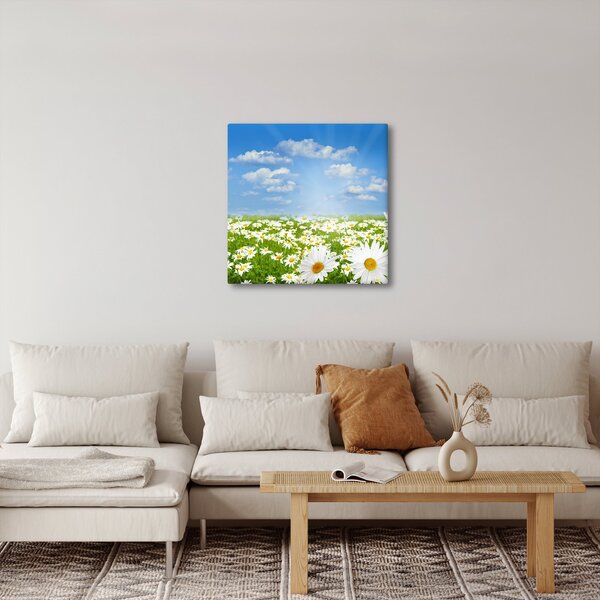Obraz rozkvetlé louky s kopretinami (30x30 cm)