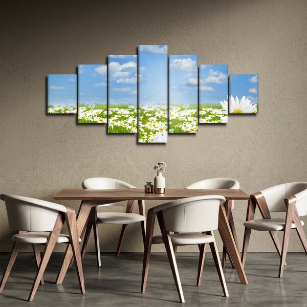 Obraz rozkvetlé louky s kopretinami (210x100 cm)