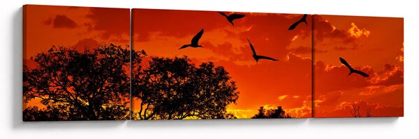 Obraz ptáků při západu slunce (170x50 cm)
