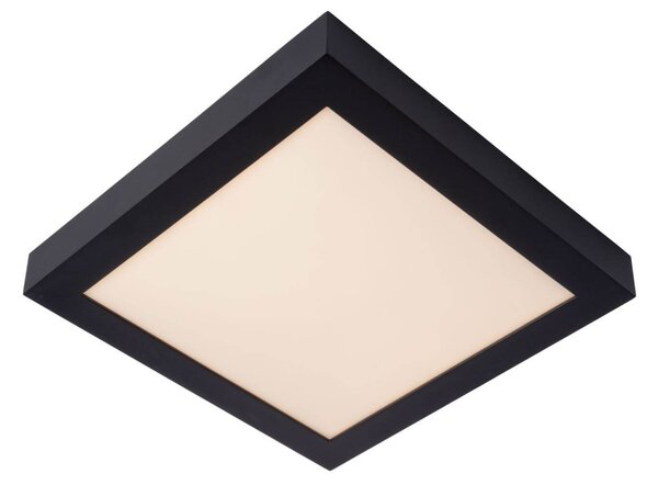 Lucide 28117/30/30 LED přisazené stropní svítidlo Brice 1x30W | 1727lm | 3000K | IP44 - stmívatelné, do koupelny