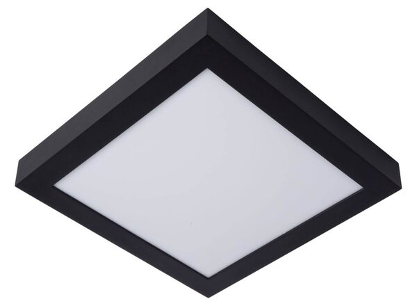 Lucide 28117/30/30 LED přisazené stropní svítidlo Brice 1x30W | 1727lm | 3000K | IP44 - stmívatelné, do koupelny