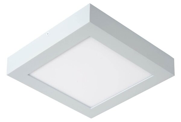 Lucide 28117/22/31 LED přisazené stropní svítidlo Brice 1x22W | 1186lm | 3000K | IP44 - stmívatelné, do koupelny