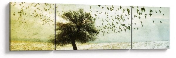 Obraz - Malované hejno ptáků (170x50 cm)
