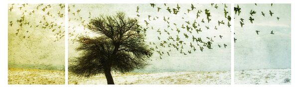 Obraz - Malované hejno ptáků (170x50 cm)