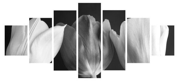 Obraz - Černobílé květy tulipánů (210x100 cm)
