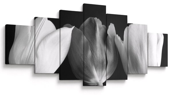Obraz - Černobílé květy tulipánů (210x100 cm)