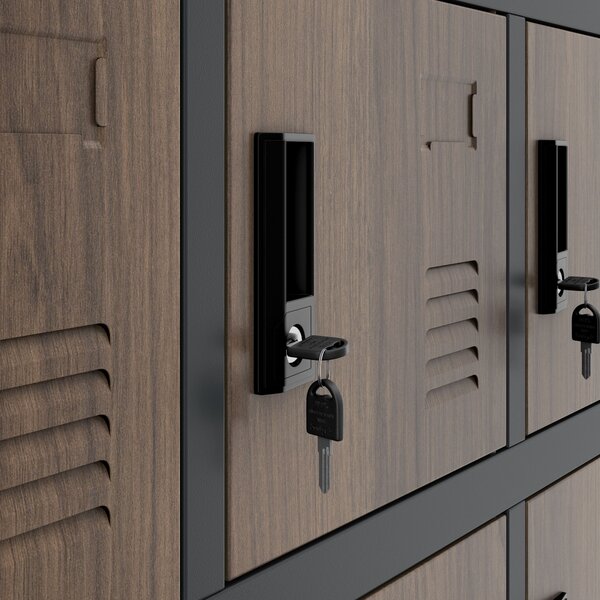 Skříňka pro zaměstnance s 18 uzamykatelnými boxy, bílá antracit/ořech, 900x1850x400 mm: KAROL Eco Design