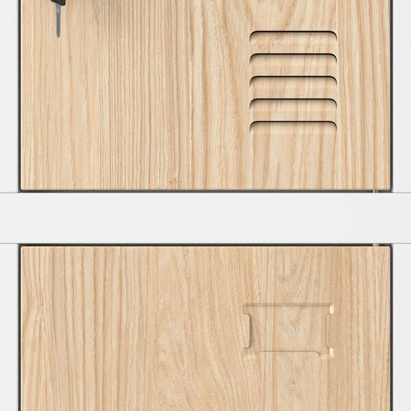 Skříňka pro zaměstnance s 12 uzamykatelnými boxy, bílá / dub sonoma, 900x1850x400 mm: MARCIN Eco Design