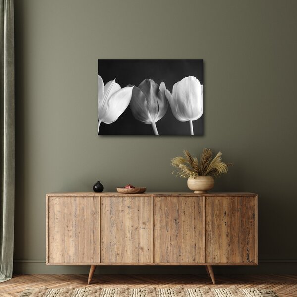 Obraz - Černobílé květy tulipánů (70x50 cm)