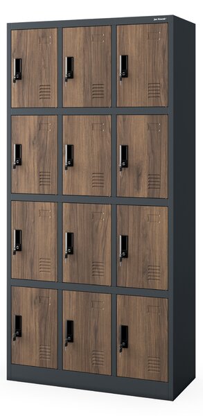 Skříňka pro zaměstnance s 12 uzamykatelnými boxy, bílá antracit/ořech, 900x1850x400 mm: MARCIN Eco Design
