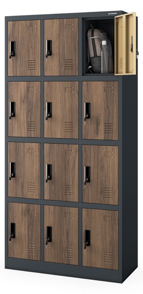Skříňka pro zaměstnance s 12 uzamykatelnými boxy, bílá antracit/ořech, 900x1850x400 mm: MARCIN Eco Design
