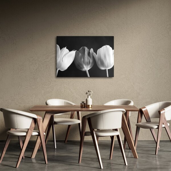 Obraz - Černobílé květy tulipánů (70x50 cm)